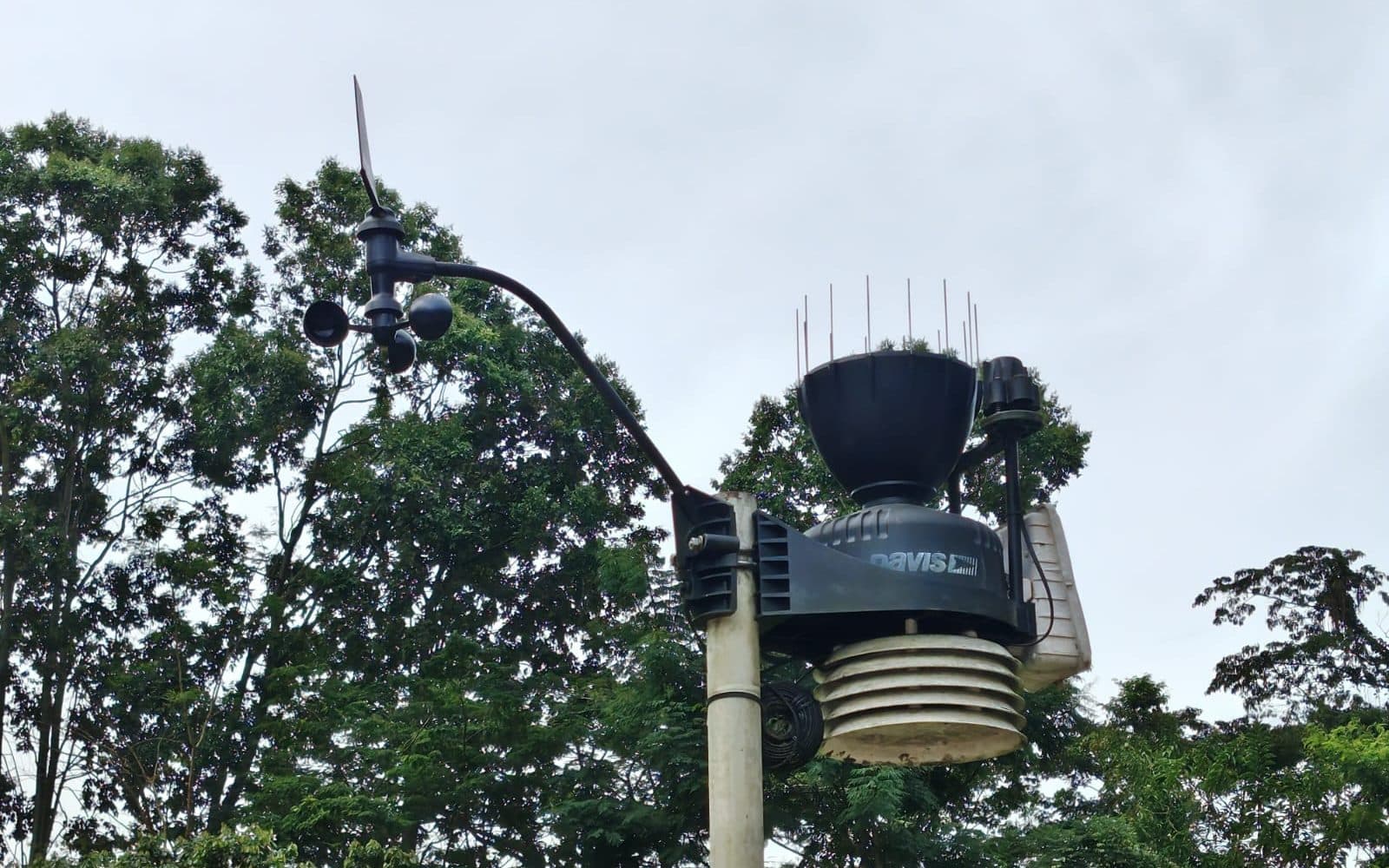 Estación de medición montada sobre un poste en una zona arbolada