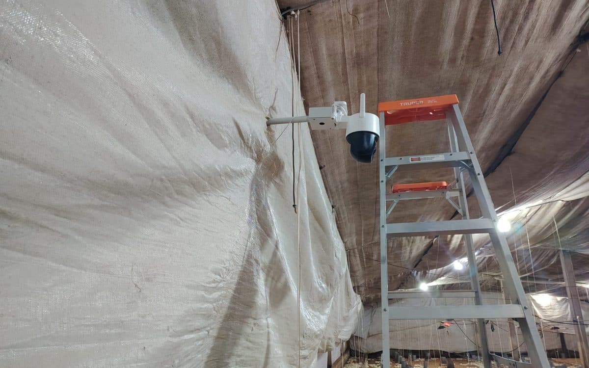 Instalación de cámara sobre escalera en una nave de gran altura